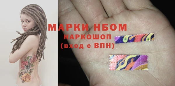 spice Бородино