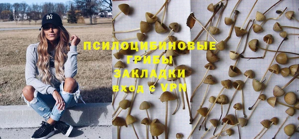 spice Бородино